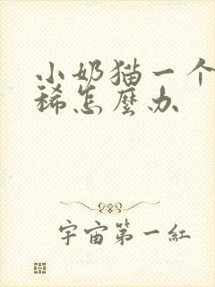 小奶猫一个月拉稀怎么办