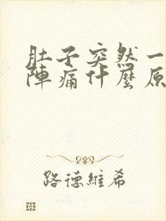 肚子突然一阵一阵痛什么原因