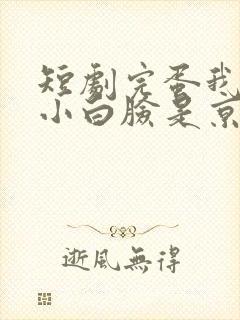 短剧完蛋我养的小白脸是京圈太子爷