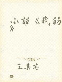 小说《我的岳母》