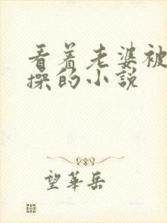 看着老婆被别人操的小说