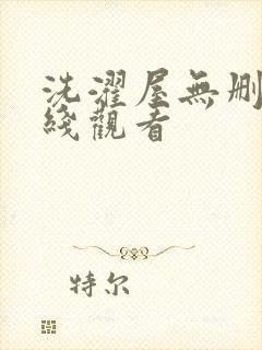 洗濯屋无删减在线观看