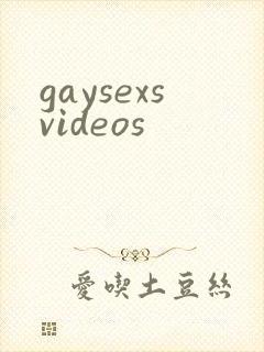 gaysexsvideos封面