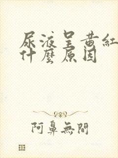 尿液呈黄红色是什么原因