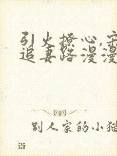 引火撩心,宋总追妻路漫漫免费阅读