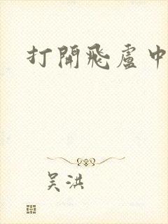 打开飞卢中文网封面