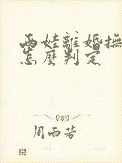 两娃离婚抚养权怎么判定封面