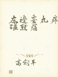 左边睾丸疼痛一碰就痛