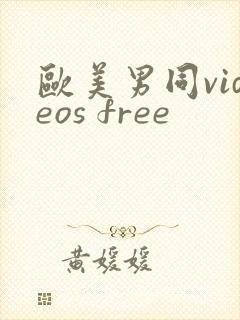 欧美男同videos free