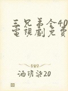 三兄弟全40集电视剧免费观看