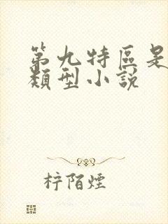 第九特区是什么类型小说