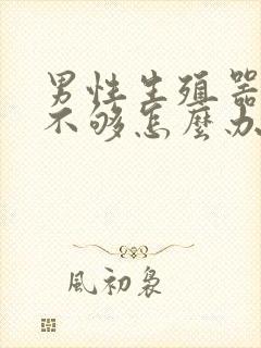 男性生殖器硬度不够怎么办封面