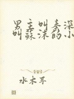 男主叫秦深女主叫苏沫的小说