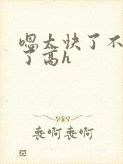 嗯太快了不不要了高h封面