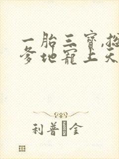 一胎三宝,总裁爹地宠上天