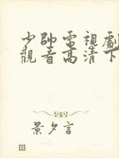 少帅电视剧免费观看高清下载