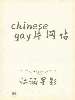 chinese gay片网站