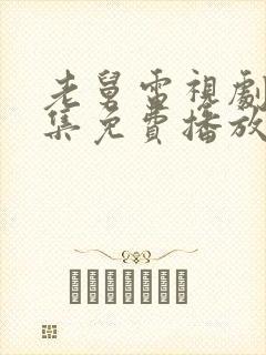 老舅电视剧40集免费播放封面