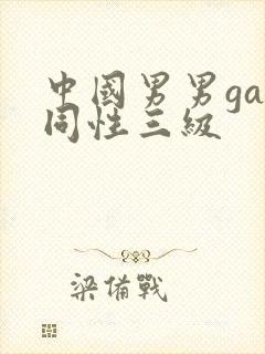 中国男男gay同性三级