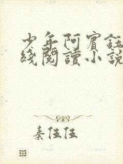 少年阿宾钰慧在线阅读小说txt