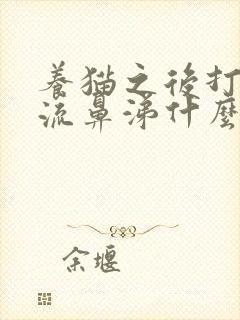 养猫之后打喷嚏流鼻涕什么原因封面