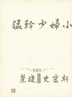 猛干少妇小说封面