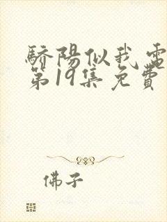 骄阳似我电视剧第19集免费观看