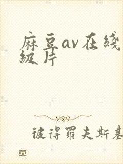 麻豆av在线一级片