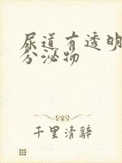 尿道有透明液体分泌物