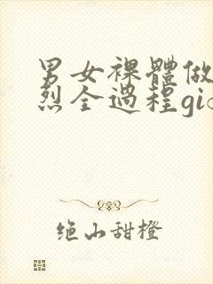 男女裸体做爰猛烈全过程gif