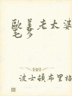 欧美老太婆水多毛多封面