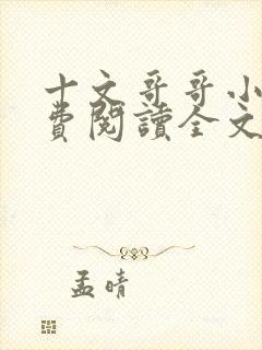 十文哥哥小说免费阅读全文