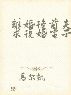 离婚后前夫哭着求复婚电子书阅读