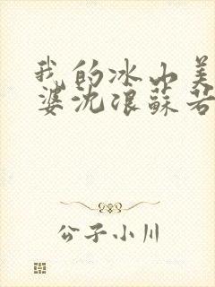 我的冰山美女老婆沈浪苏若雪