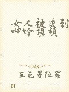 女人被爽到娇喘呻吟视频