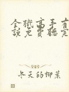 全职高手有声小说免费听完整版