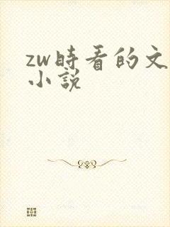 zw时看的文案小说