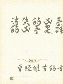 消失的凶手真正的凶手是谁封面