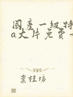 国产一级特黄aa大片免费看封面