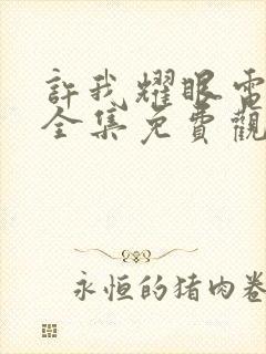 许我耀眼电视剧全集免费观看15集