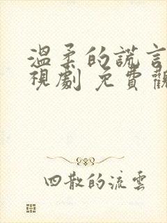 温柔的谎言 电视剧 免费观看