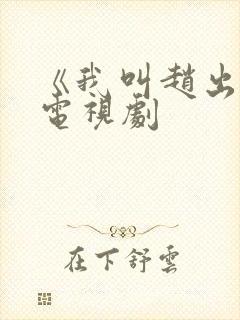 《我叫赵出息》电视剧