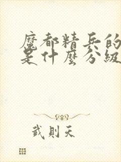 魔都精兵的奴隶是什么分级