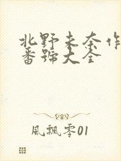 北野未奈作品集番号大全