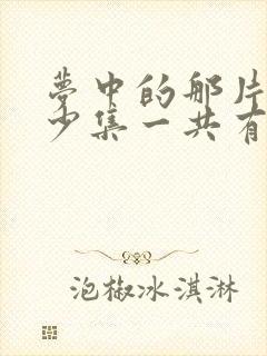 梦中的那片海多少集一共有几集