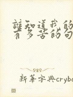 谁知道我的心里有多苦的句子