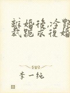 离婚后,冷艳总裁跪求复婚主角小说