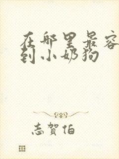 在哪里最容易捡到小奶狗