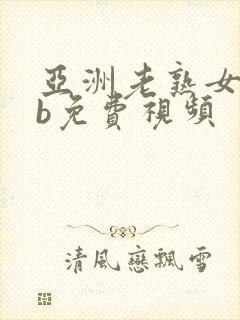 亚洲老熟女人搞b免费视频