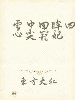 雪中回眸四爷的心尖宠妃